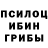 Псилоцибиновые грибы мицелий Fugu Suicide