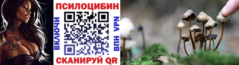 ОМГ ОМГ ТОР  Гагарин  Галлюциногенные грибы Psilocybine cubensis 