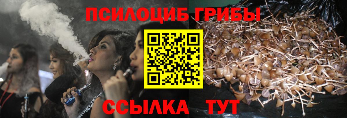 Псилоцибиновые грибы ЛСД Гагарин